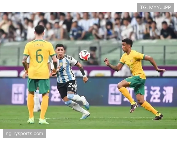 恩佐与麦卡利斯特：世界杯中场组织效率与防守覆盖能力对比分析